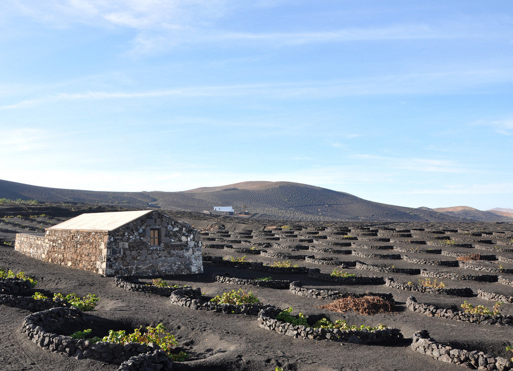 Lanzarote di terra