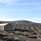 Lanzarote di terra