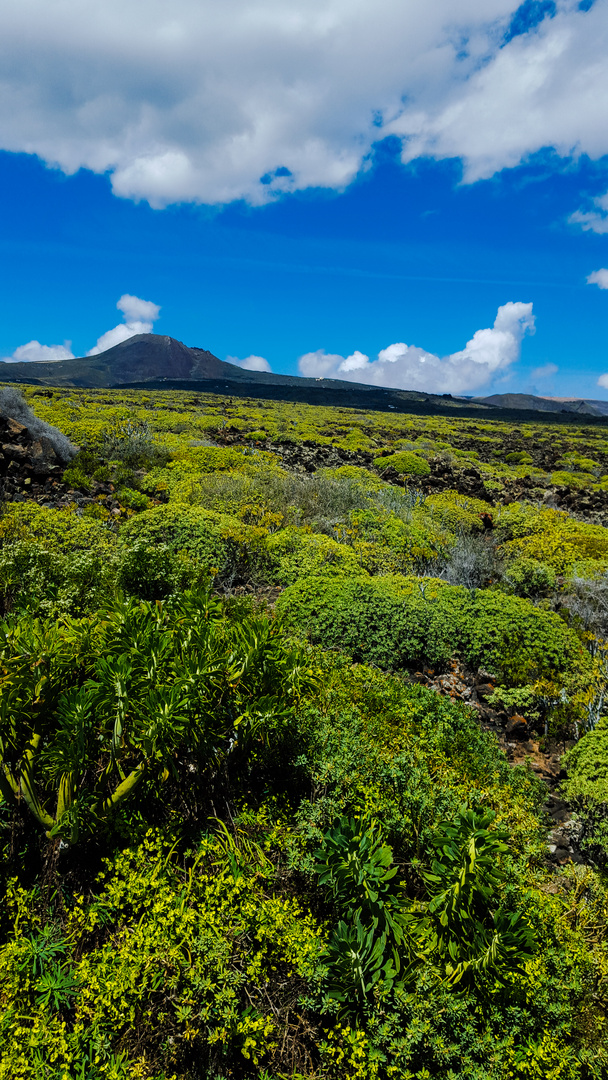 Lanzarote