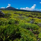 Lanzarote