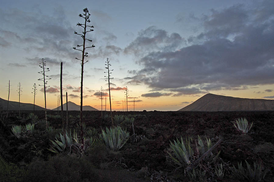 Lanzarote