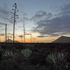 Lanzarote