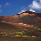 Lanzarote 