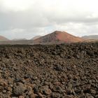 Lanzarote