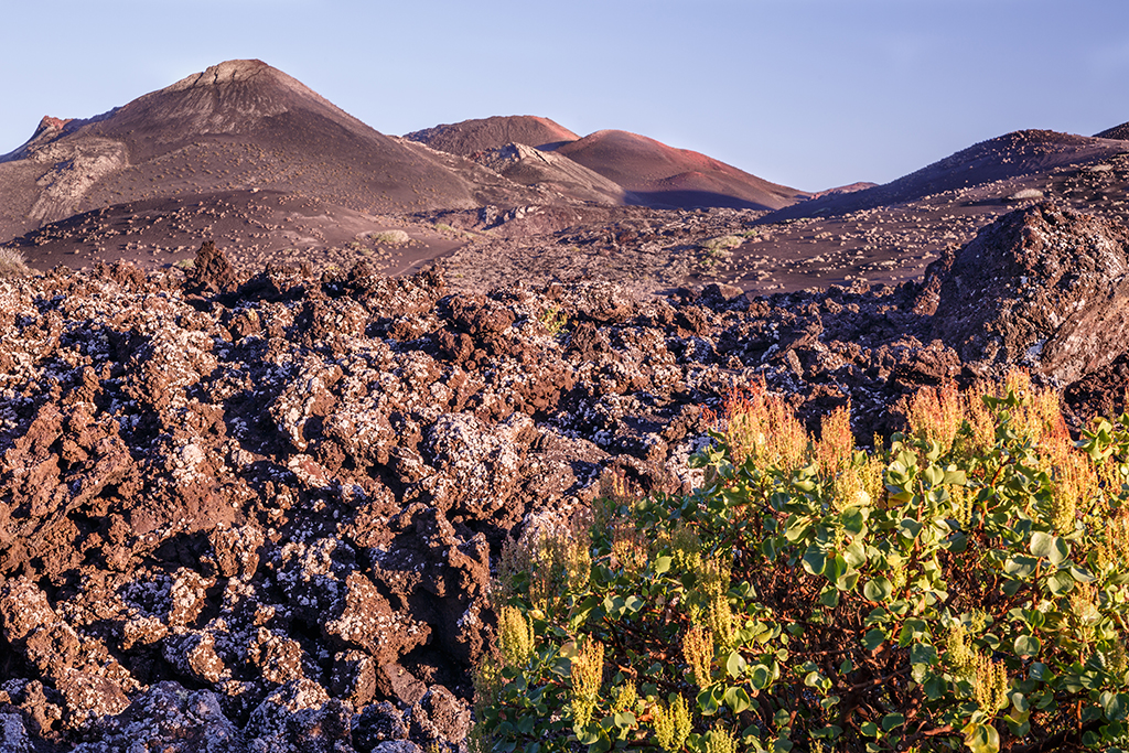 Lanzarote