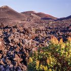 Lanzarote