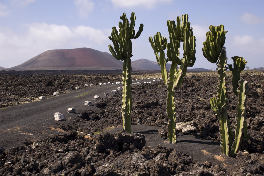 LANZAROTE