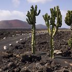 LANZAROTE