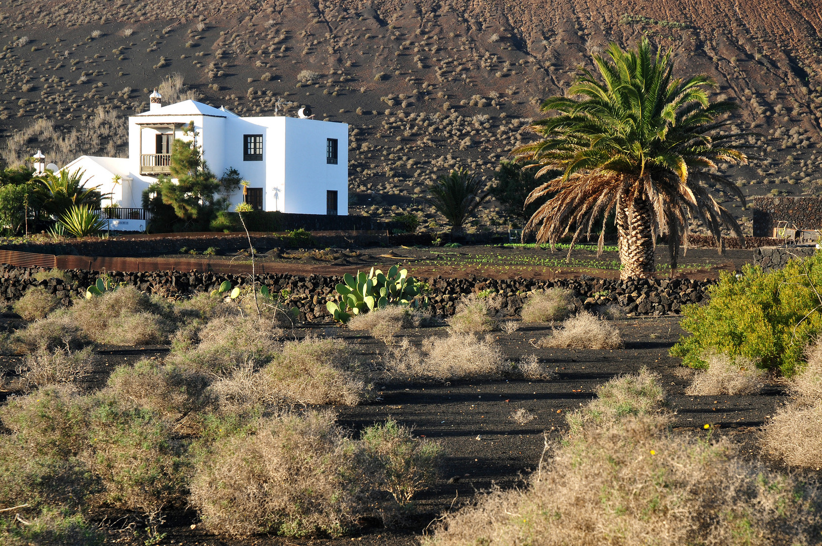 Lanzarote