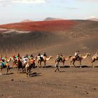 Lanzarote