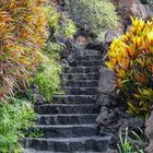 Lanzarote Gartenanlage 2