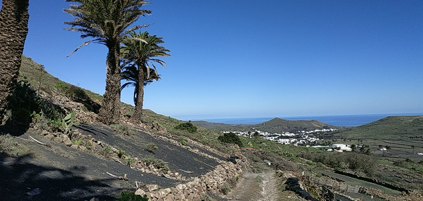 Lanzarote Haria Wanderung