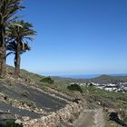 Lanzarote Haria Wanderung