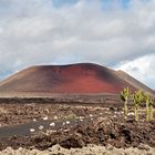 Lanzarote I