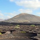 Lanzarote I