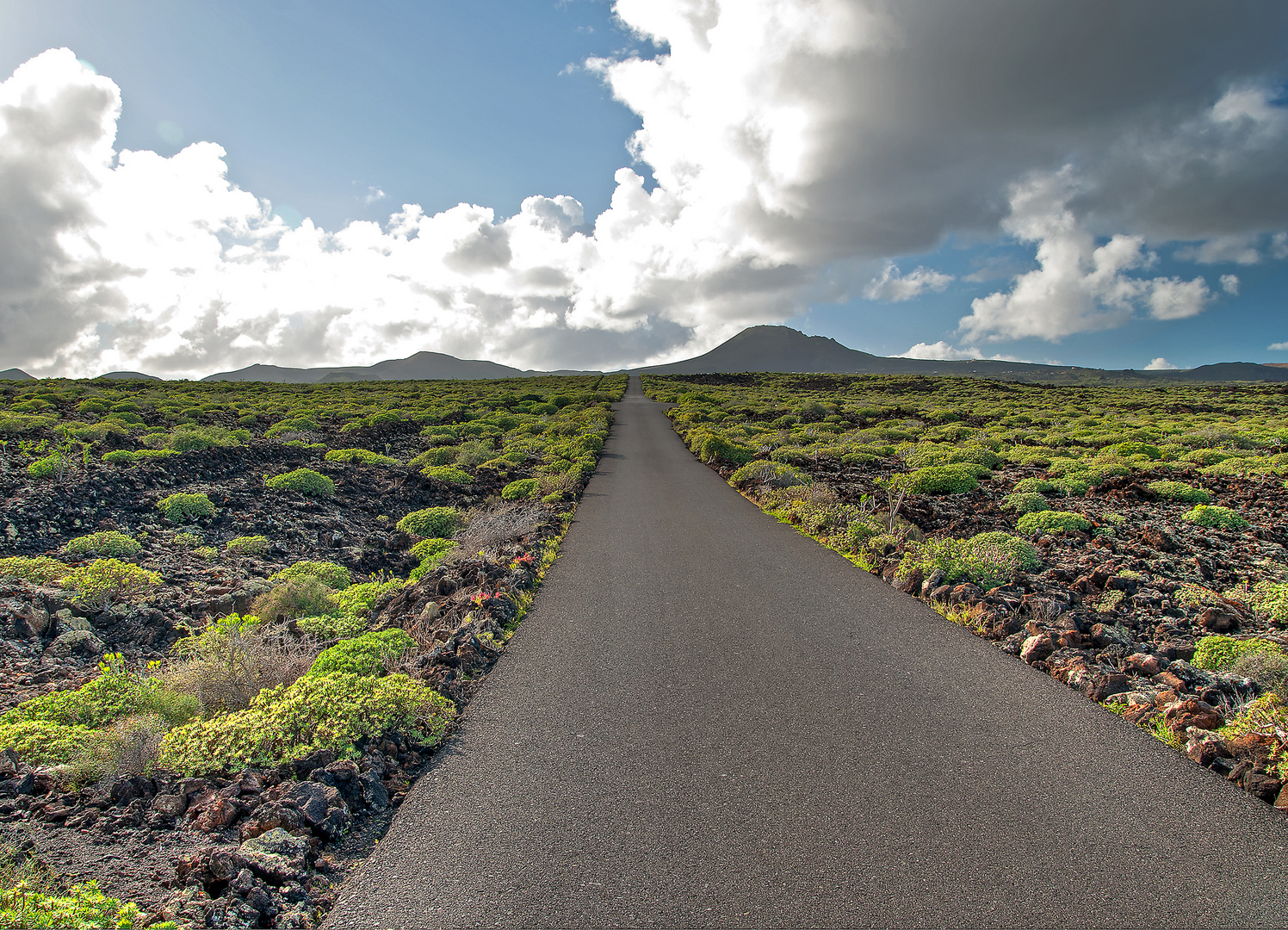 Lanzarote II