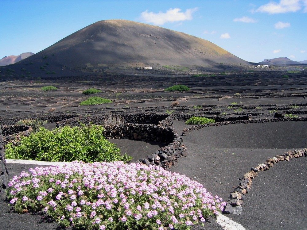 Lanzarote im Frühling