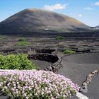 Lanzarote im Frühling