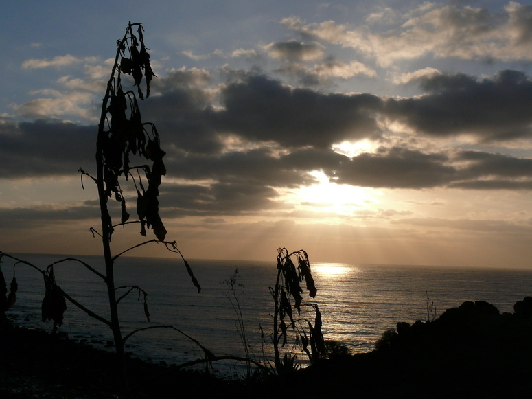 Lanzarote im Januar 2007 (3)