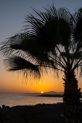 Lanzarote Impressionen-22