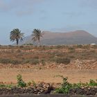 Lanzarote-Impressionen (31)