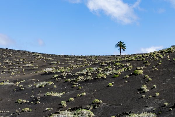 Lanzarote Impressionen-4