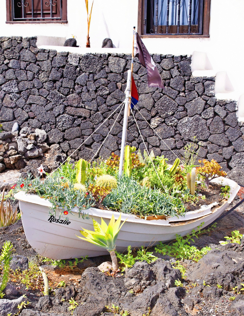 Lanzarote impressionen einer insel 30-25