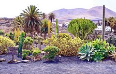 Lanzarote impressionen einer insel 30-7