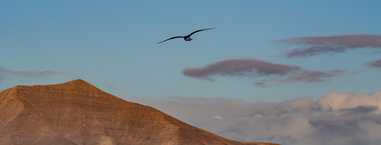 Lanzarote IV