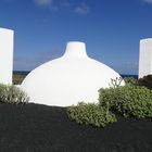 Lanzarote - Jameos del Agua IV