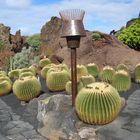 Lanzarote - Jardin de Cactus MARIQUE