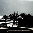 Lanzarote kurz nach dem Regen