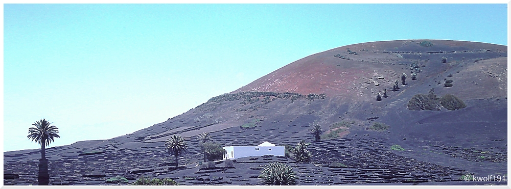 Lanzarote - La Geria (2)