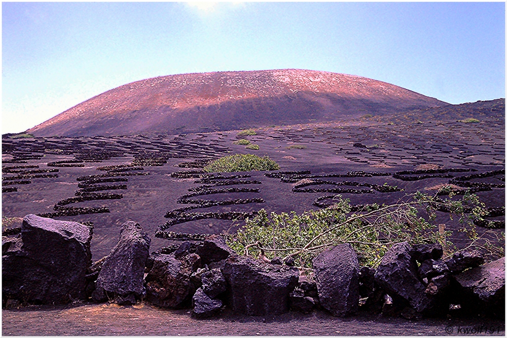 Lanzarote - La Geria