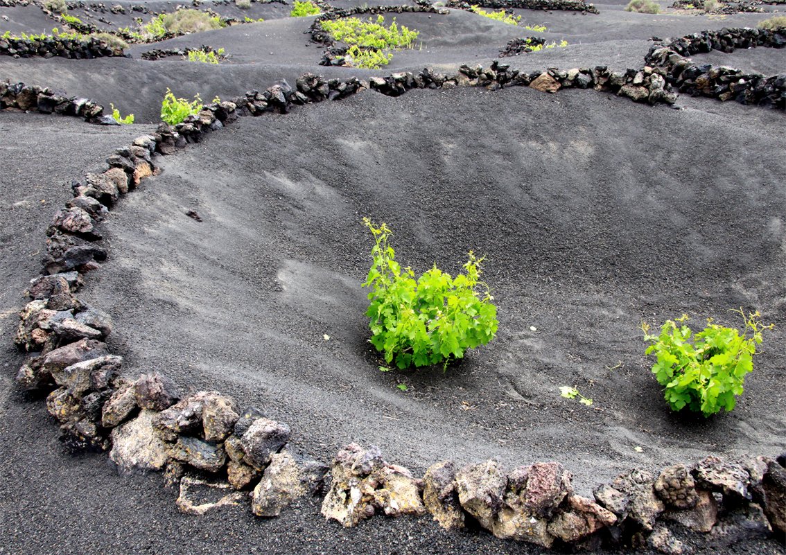 LANZAROTE LA GERIA LAVAFELD