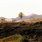  Lanzarote Lava