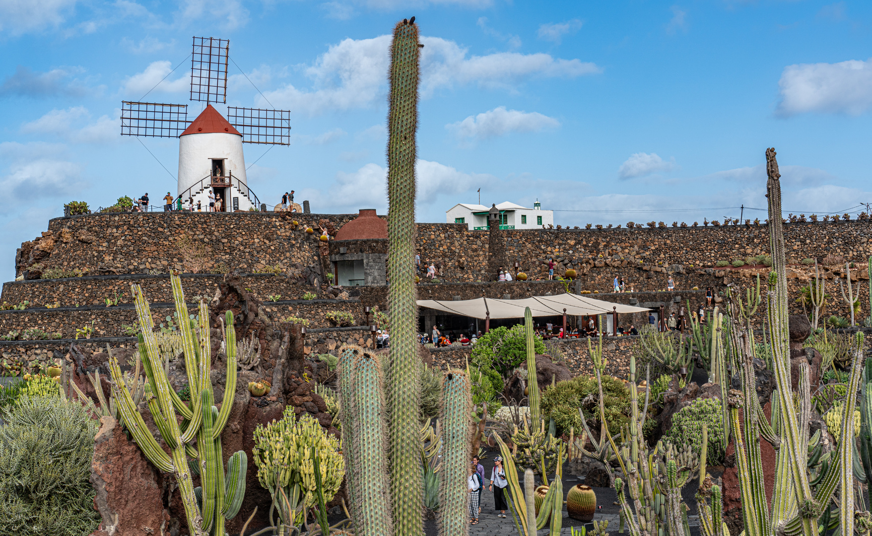 Lanzarote LXI