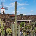 Lanzarote LXI