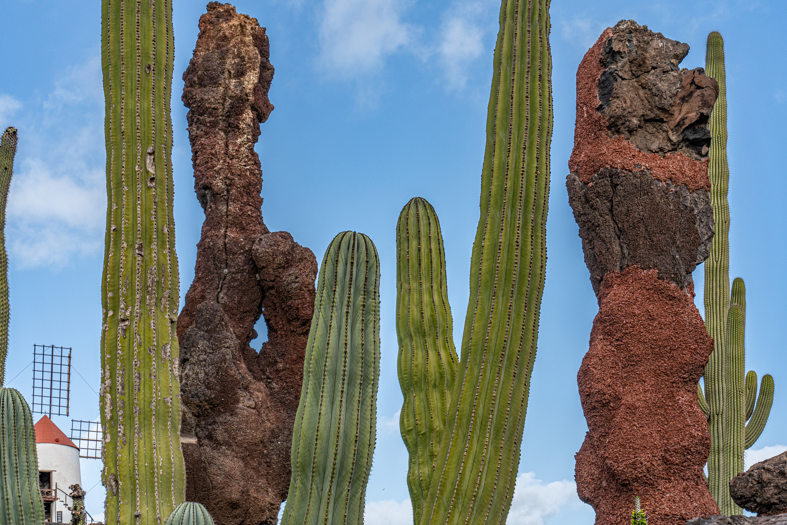 Lanzarote LXIII