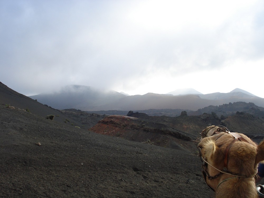 Lanzarote per Kamel