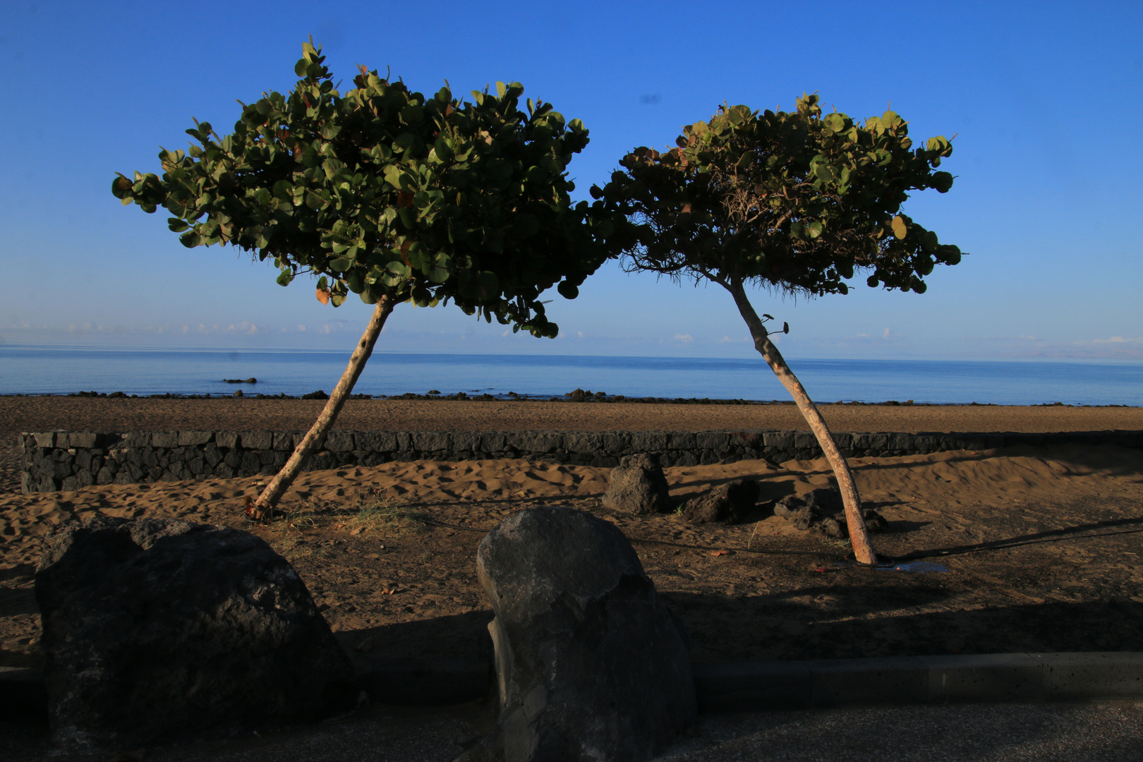 Lanzarote - Playa Matargorda