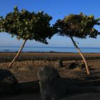 Lanzarote - Playa Matargorda