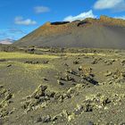 Lanzarote - "Rabenkessel"