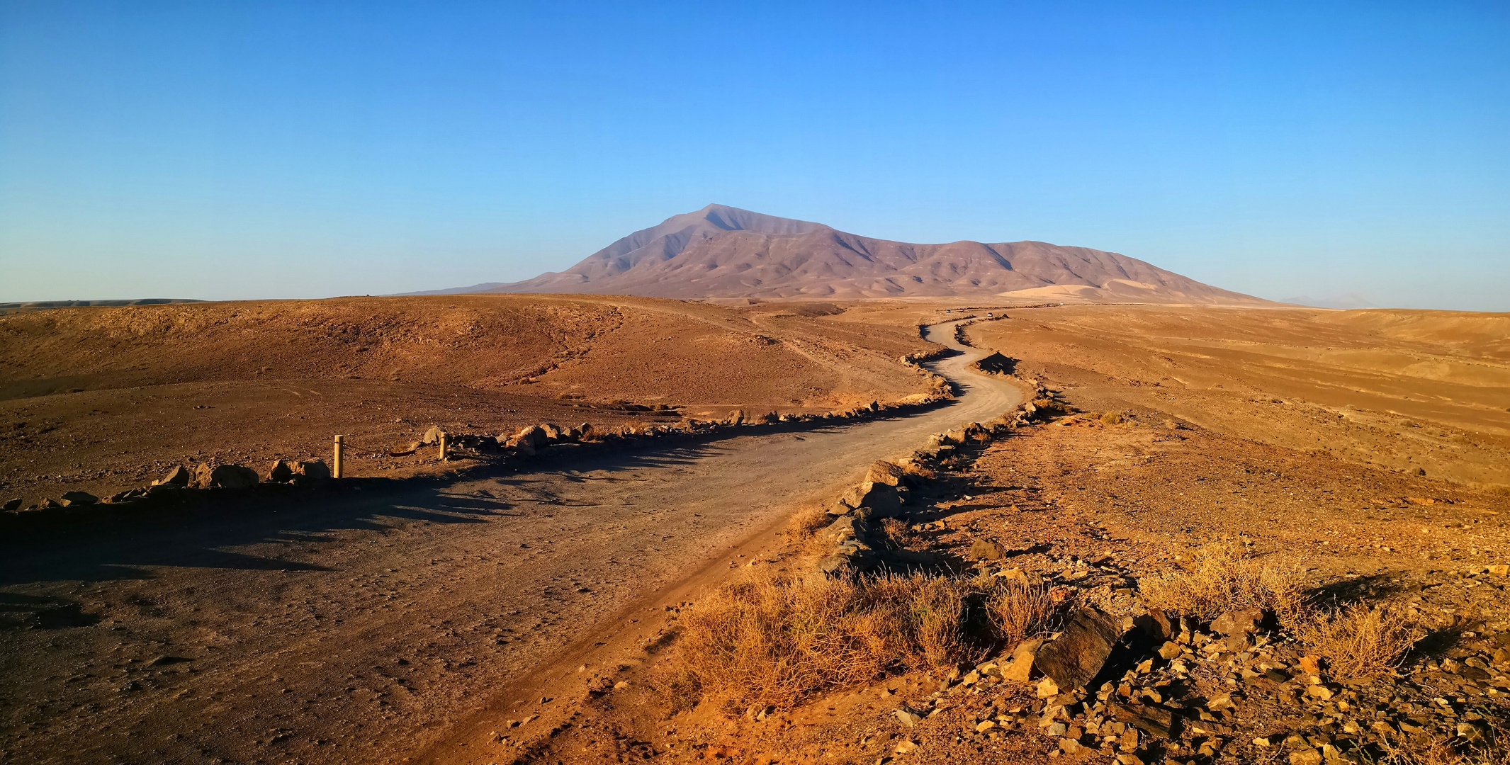 Lanzarote Safari