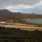 Lanzarote: Saline