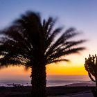 Lanzarote - Sonne, Wind, Wärme