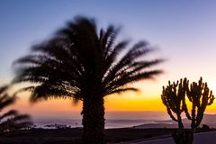Lanzarote - Sonne, Wind, Wärme