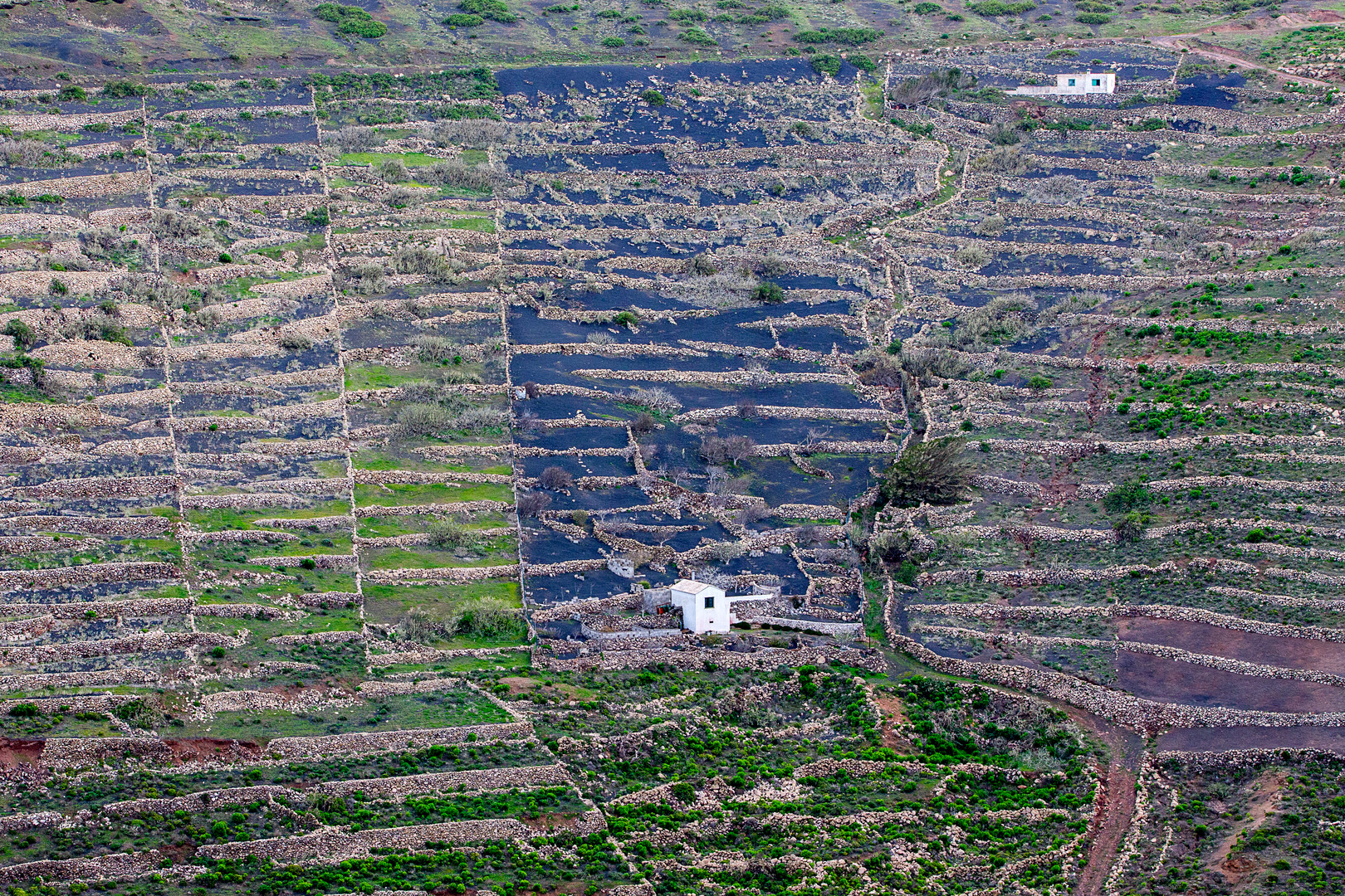 Lanzarote Steinmauern