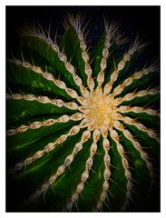 (Lanzarote) The visit of the "Cactus Garden" was absolutly stunning