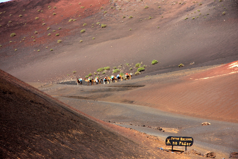 Lanzarote - Timanfaya Naturpark